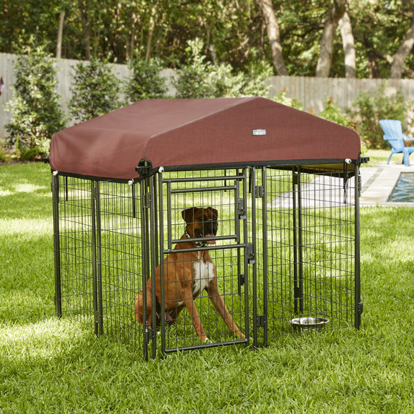 Wayfair Expandable Dog Pen Wayfair
